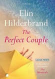 Book cover of The Perfect Couple