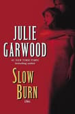 Book cover of Slow Burn