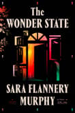 Book cover of The Wonder State