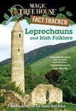 Book cover of Leprechauns and Irish Folklore