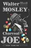 Book cover of Charcoal Joe