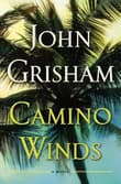 Book cover of Camino Winds