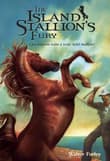 Book cover of The Island Stallion's Fury