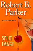 Book cover of Split Image