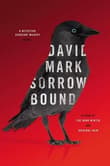 Book cover of Sorrow Bound