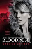 Book cover of Bloodrose