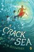 Book cover of A Crack in the Sea