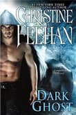 Book cover of Dark Ghost