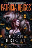 Book cover of Burn Bright