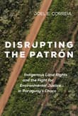 Book cover of Disrupting the Patron: Indigenous Land Rights and the Fight for Environmental Justice in Paraguay's Chaco