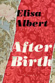 Book cover of After Birth