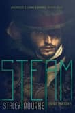 Book cover of Steam