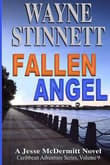 Book cover of Fallen Angel