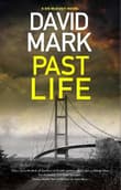 Book cover of Past Life