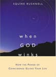 Book cover of When God Winks