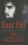 Book cover of Dark Fire: Number 6 in series