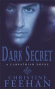 Book cover of Dark Secret: Number 15 in series