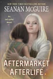 Book cover of Aftermarket Afterlife