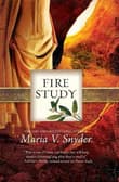 Book cover of Fire Study