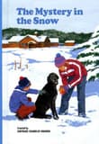 Book cover of The Mystery in the Snow