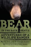 Book cover of Bear in the Back Seat II