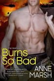 Book cover of Burns So Bad