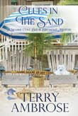 Book cover of Clues in the Sand