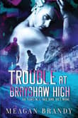 Book cover of Trouble at Brayshaw High