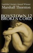 Book cover of Broken Cord