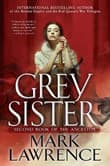 Book cover of Grey Sister