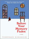 Book cover of Before Your Memory Fades
