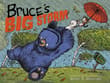 Book cover of Bruce's Big Storm