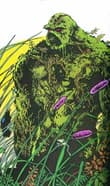 Book cover of Saga Of The Swamp Thing HC Book 02