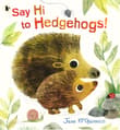 Book cover of Say Hi to Hedgehogs!