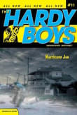 Book cover of Hurricane Joe