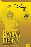 Book cover of Banana Fish, Vol. 19