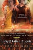 Book cover of City of Fallen Angels