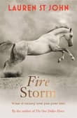 Book cover of Fire Storm