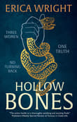 Book cover of Hollow Bones