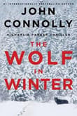 Book cover of The Wolf in Winter