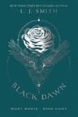 Book cover of Black Dawn