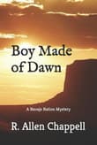 Book cover of Boy Made of Dawn