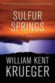 Book cover of Sulfur Springs