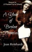 Book cover of A Year of Broken Promises