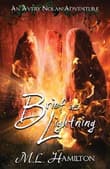 Book cover of Brief As Lightning