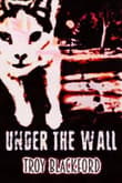 Book cover of Under the Wall