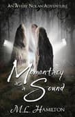 Book cover of Momentary As A Sound