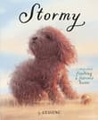 Book cover of Stormy: A Story about Finding a Forever Home