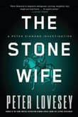 Book cover of The Stone Wife