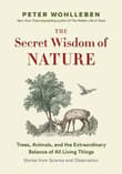 Book cover of The Secret Wisdom of Nature
